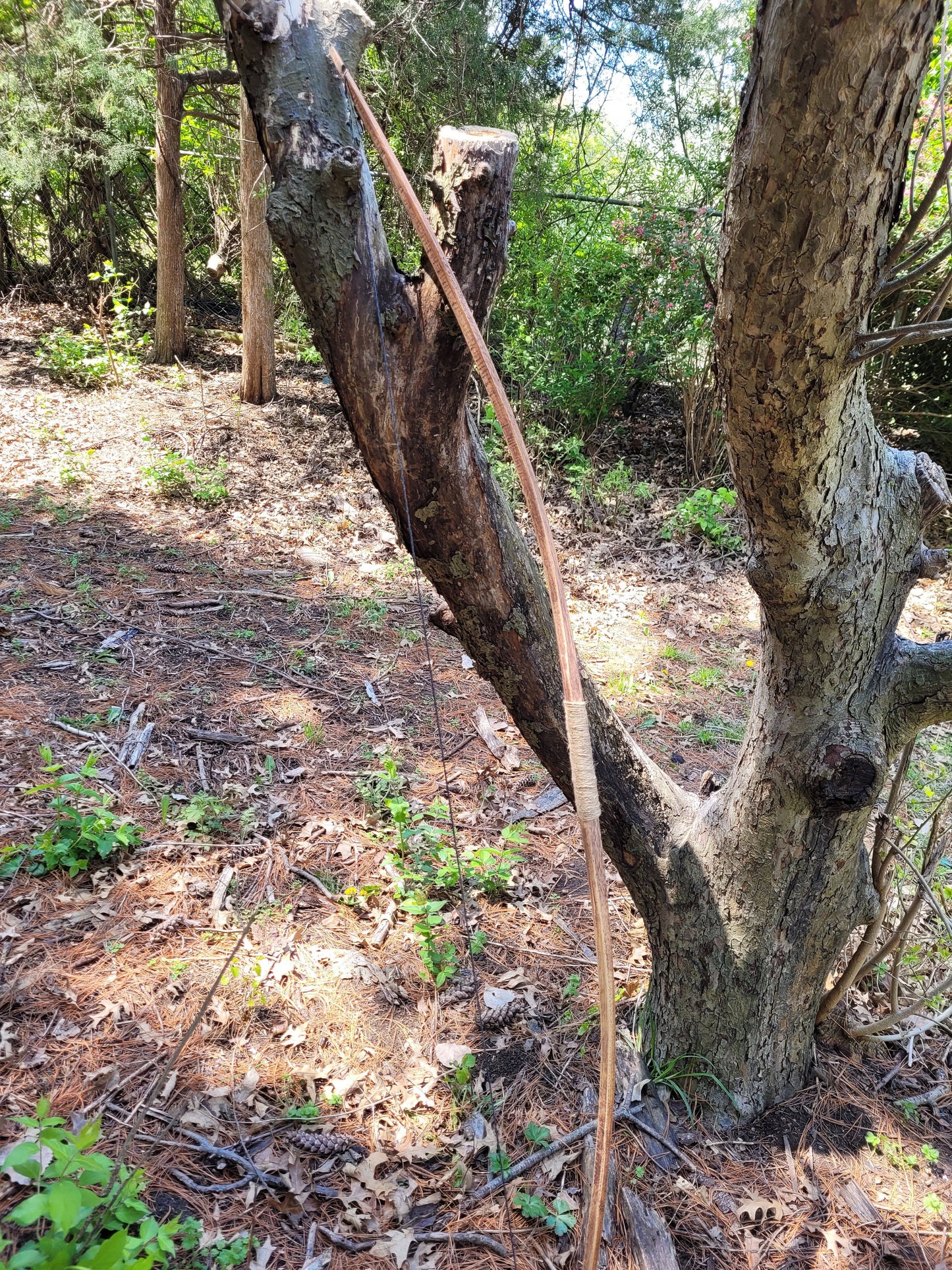 Wooden Longbow - English Longbow - Native American - REAL Wood Archery Bow for Hunters or Target Shooting. SCA, LARP, All Archers