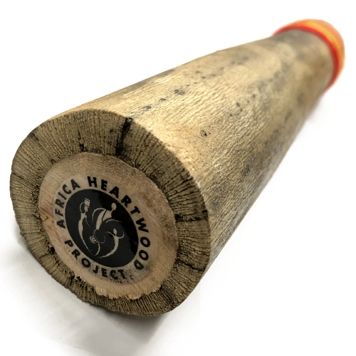 20" Chilean Cactus Rainstick by Africa Heartwood Project