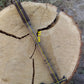Ax Chekan Small