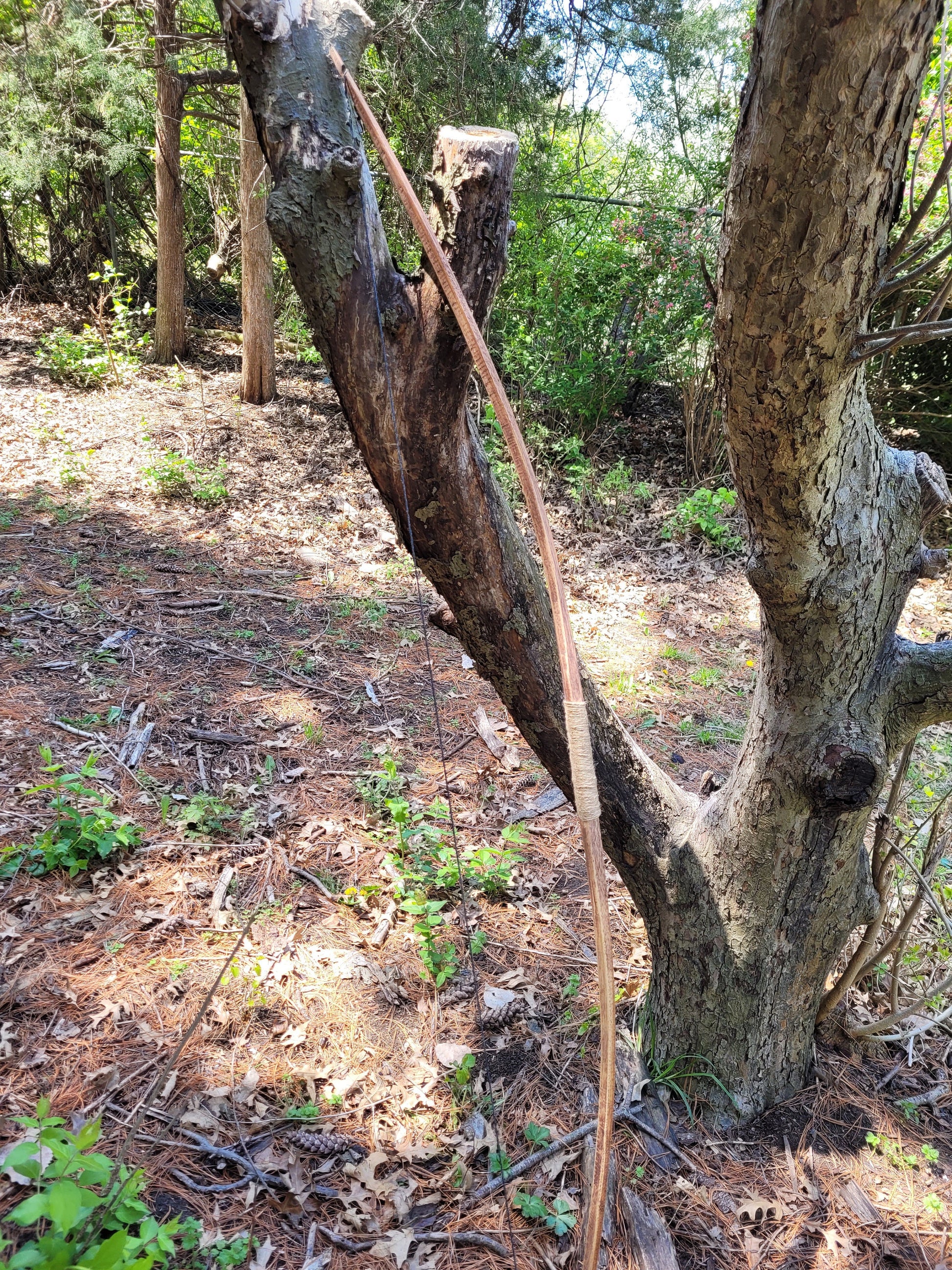 Wooden Longbow - English Longbow - Native American - REAL Wood Archery Bow for Hunters or Target Shooting. SCA, LARP, All Archers
