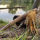 Sunflower Rainstick, 20 " Rainstick, Sound Healing, Rain Stick, Fringed Rain Stick, Tribal, Thick Rainstick, Sound Therapy