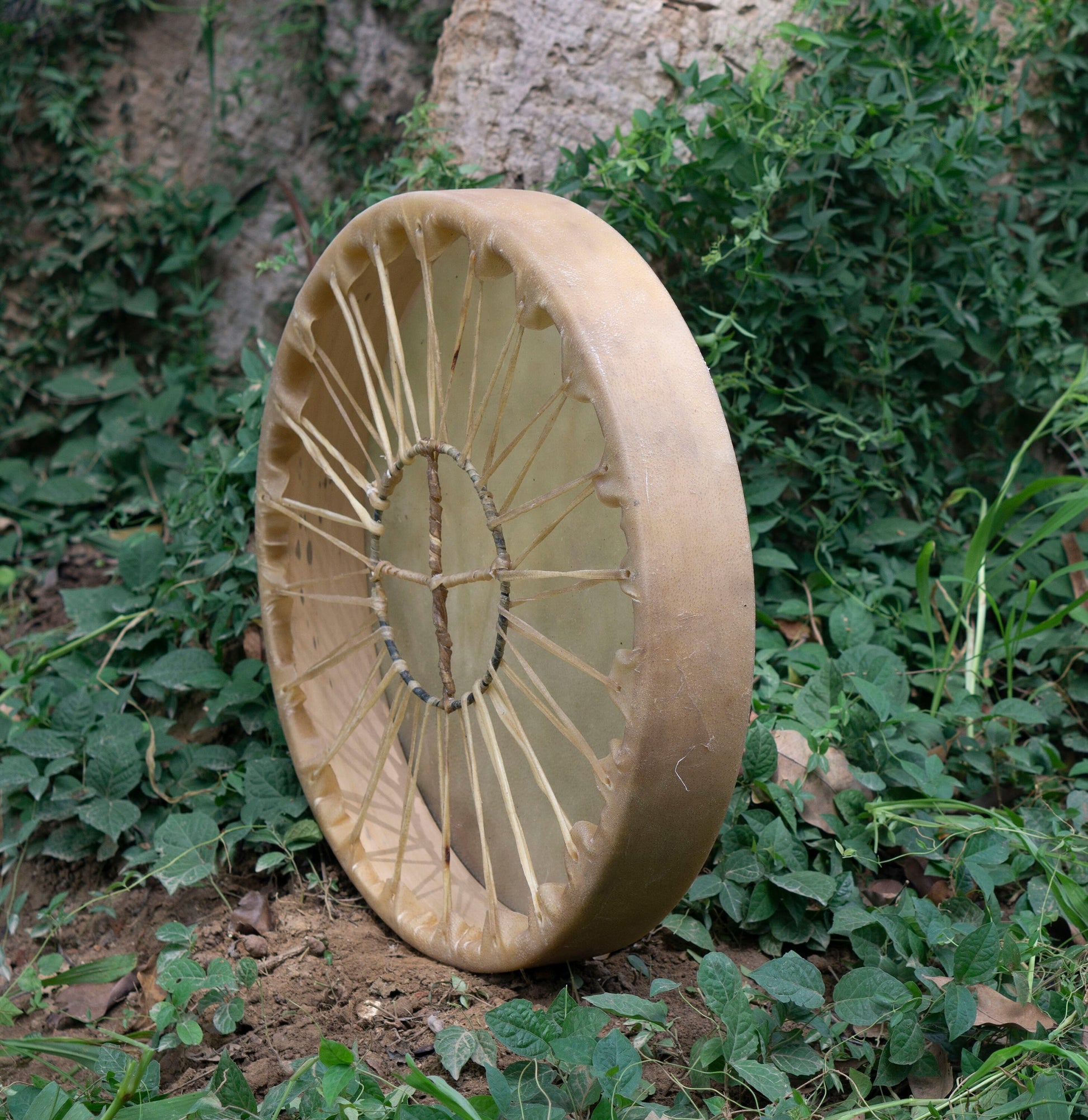 American Shamanic Native Drum Buffalo Hide with Drumbeater