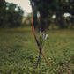 Adult Longbow: 30-35 Lb Draw Weight, Beginner Archery