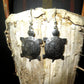 Turtle Earrings Pewter Turtle Native American Mother Earth Jewelry, Sterling Silver Earwires