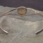 Vintage Native American Sterling Silver and Turquoise Bear Paw Cuff Bracelet 6 1/4" Signed L