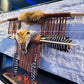 A Powerful Native Ceremonial Indian Fox Bow and Arrow Set Made by Enrolled Member of the Cherokee Tribe 68” with 5 Arrows and Quiver